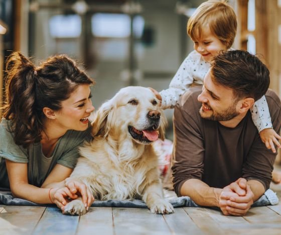 how to qualify for the best florida home equity loans