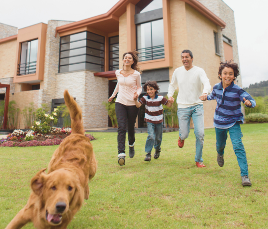 florida mortgage refinance calculator surerate mortgage